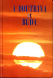 Livro 8